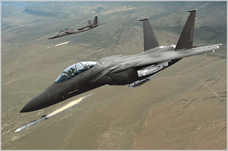 Illustration for article titled The Right Fighter For Canada Is The Super Hornet, Not The F-35